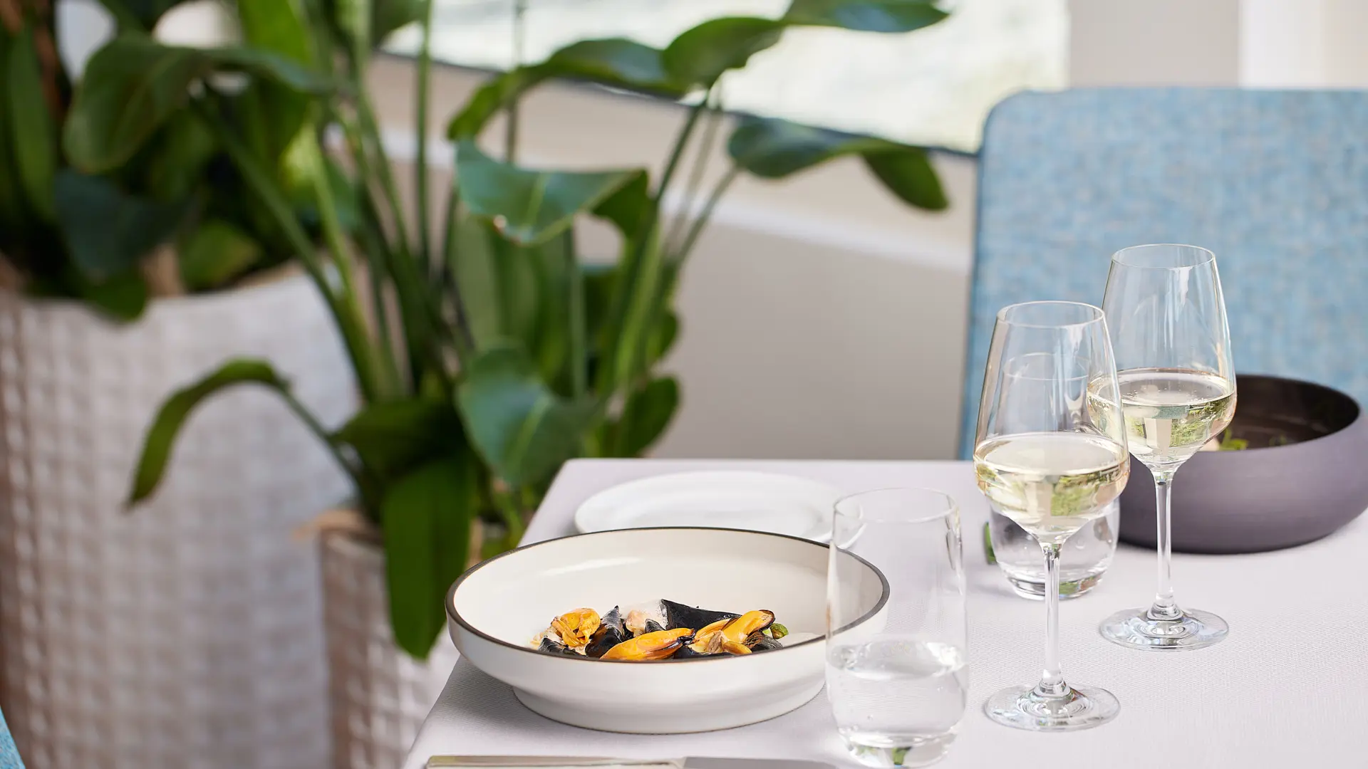 Web 2025 06 16 Casa Berno16589